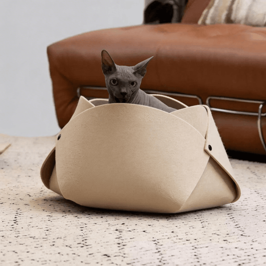 Felt Flower Cat Cave Bed cat sleeping inside enclosed den