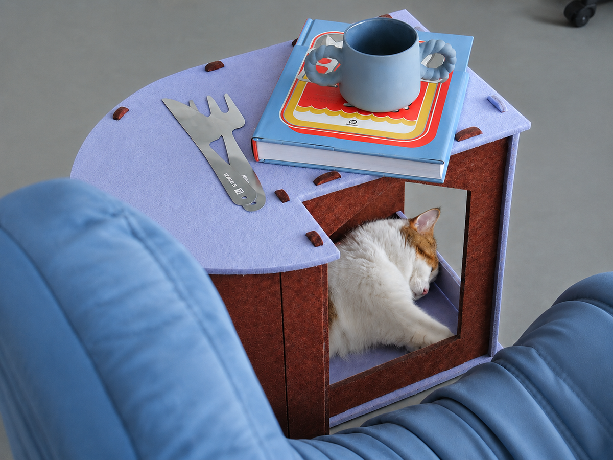 Two cats enjoying separate resting spaces in a calm home