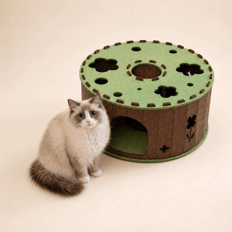 Fluffy Ragdoll cat sitting beside the green Garden Tunnel Den felt cat cave