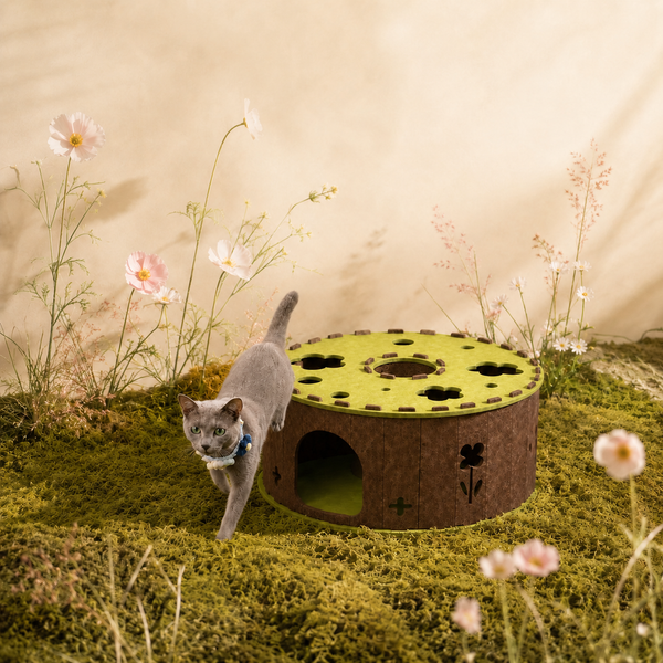 Garden Tunnel Den
