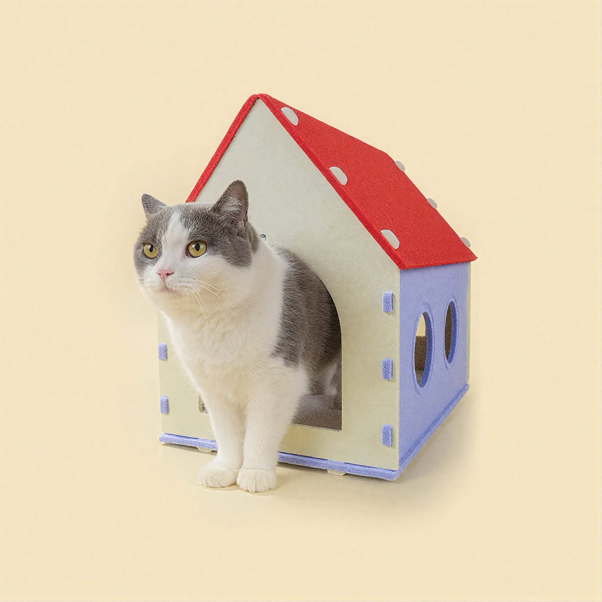 BusyMeow Red House Cat Cave enclosed felt cat house with grey British Shorthair stepping out of arched entry
