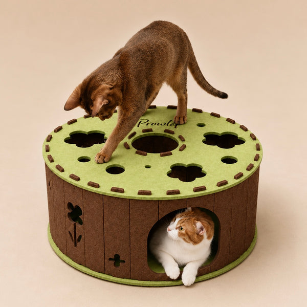 Two cats playing on and inside the Garden Tunnel Den