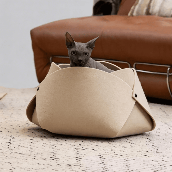 Felt Flower Cat Cave Bed cat sleeping inside enclosed den
