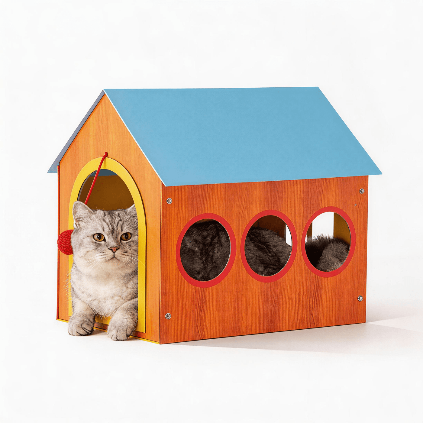 Grey tabby cat peeking out of Prowlet Meow Cottage with three porthole side windows