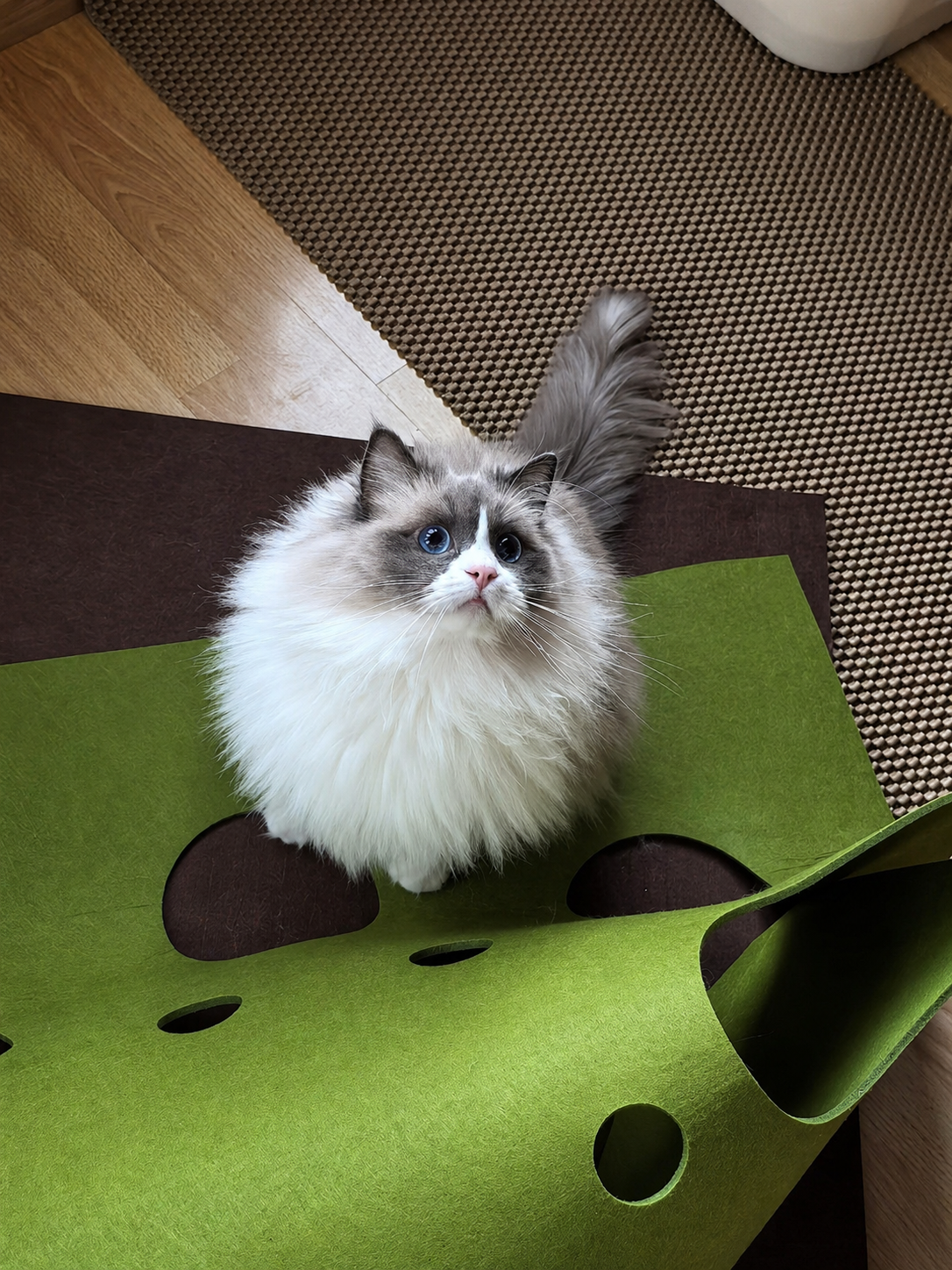 Goose with the Felt Play Mat