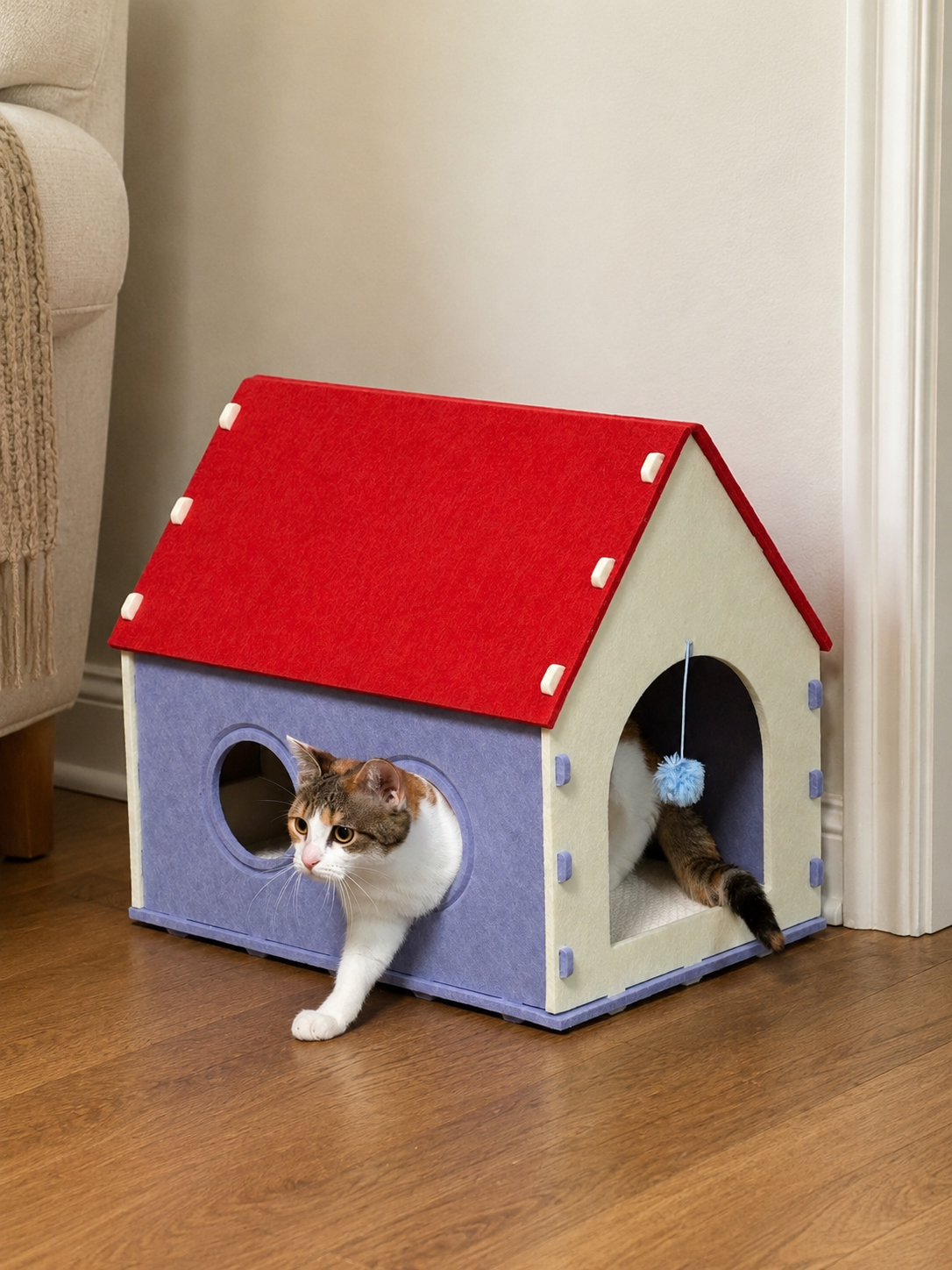 Sunday in the Red House Cat Cave