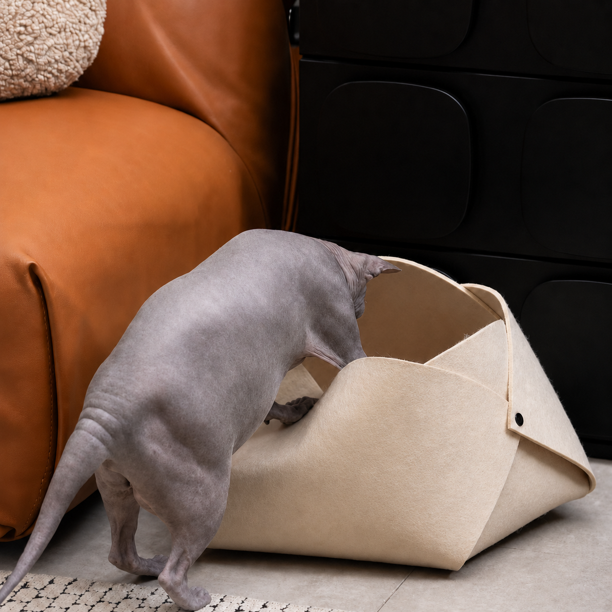 Sphynx cat exploring the cream Felt Flower Cat Cave Bed