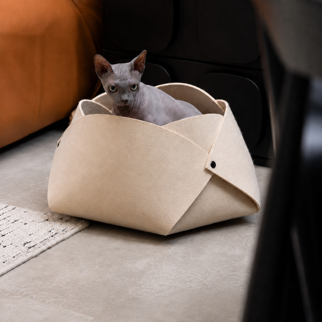 Sphynx cat sitting inside the cream Felt Flower Cat Cave Bed