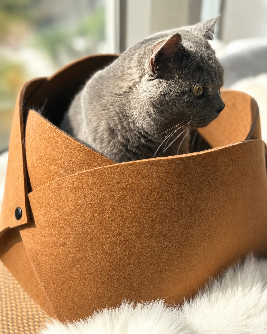 Gray cat sitting in the caramel brown Felt Flower Cave Bed