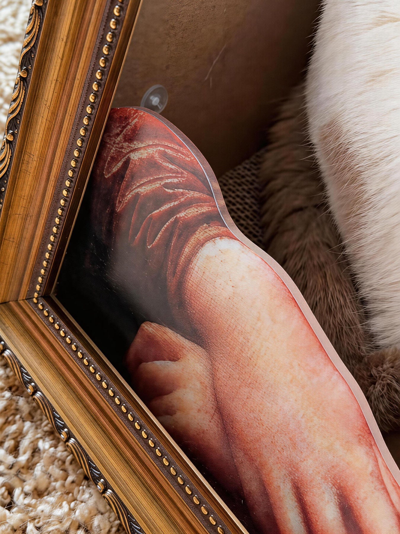 Mona Lisa scratcher detail with cat fur and frame